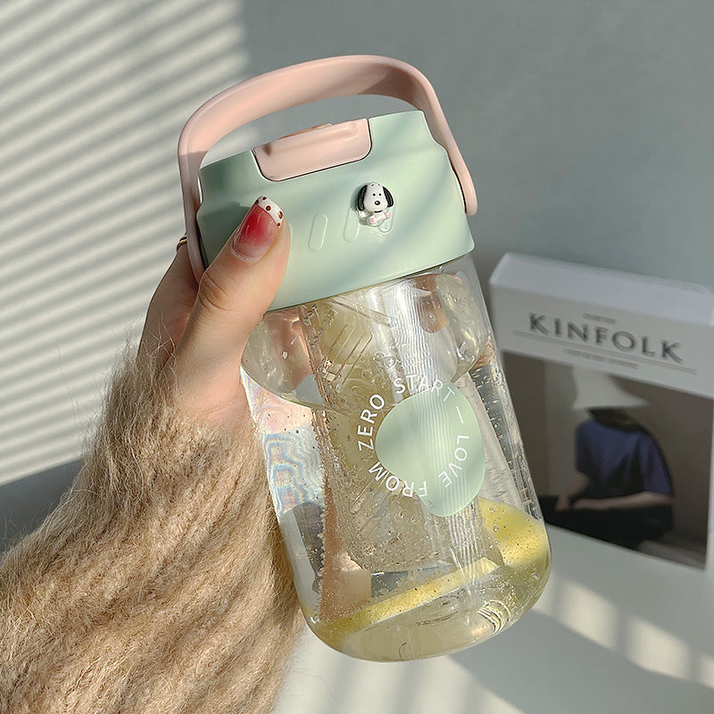 Convenient to carry plastic straw water cup 650ML